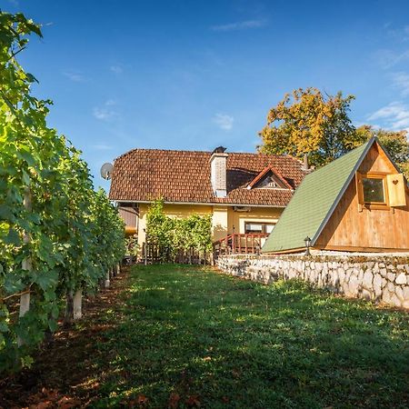 Vineyard Cottage Hocevar Novo Mesto Exterior photo