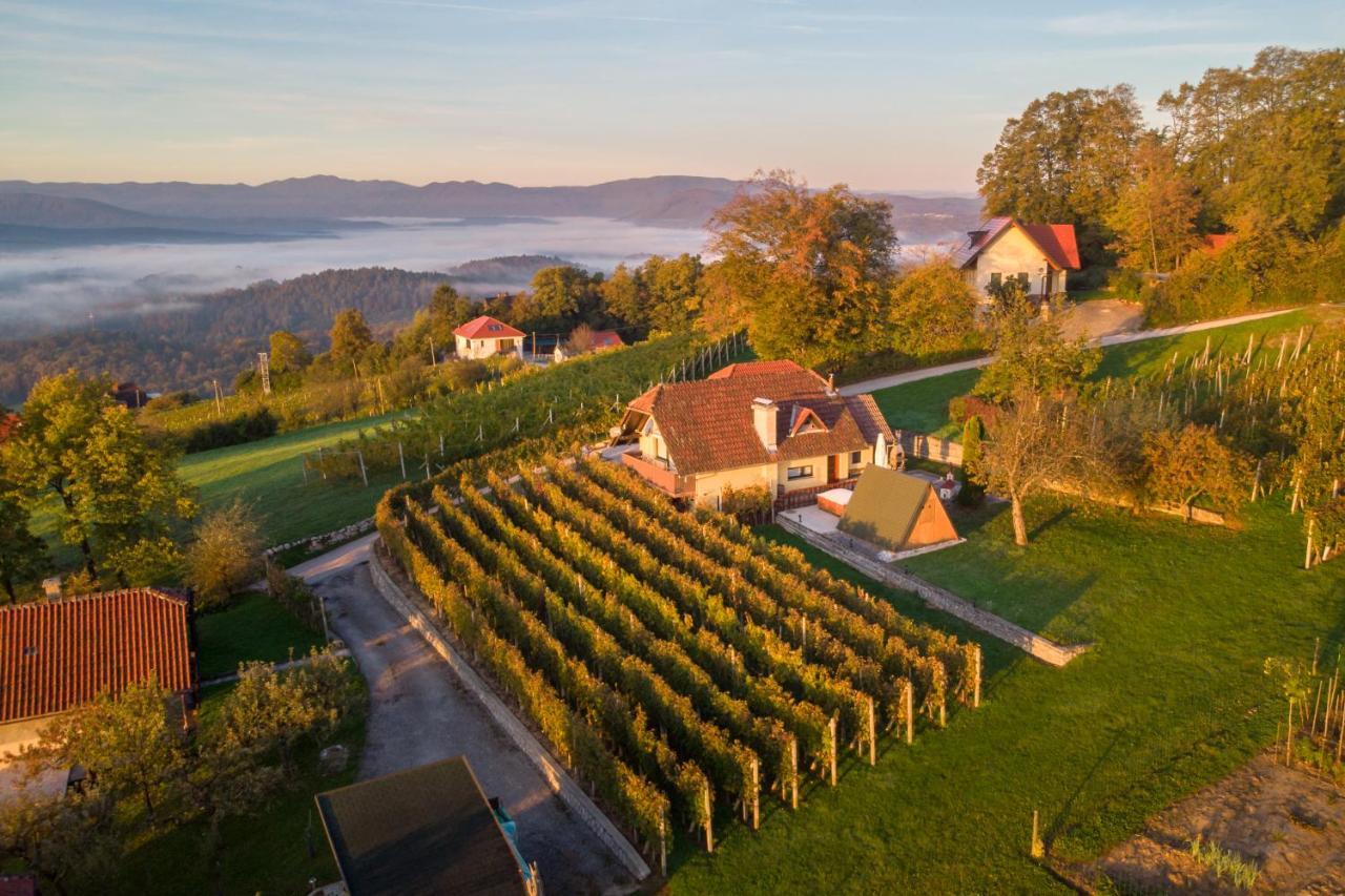 Vineyard Cottage Hocevar Novo Mesto Exterior photo