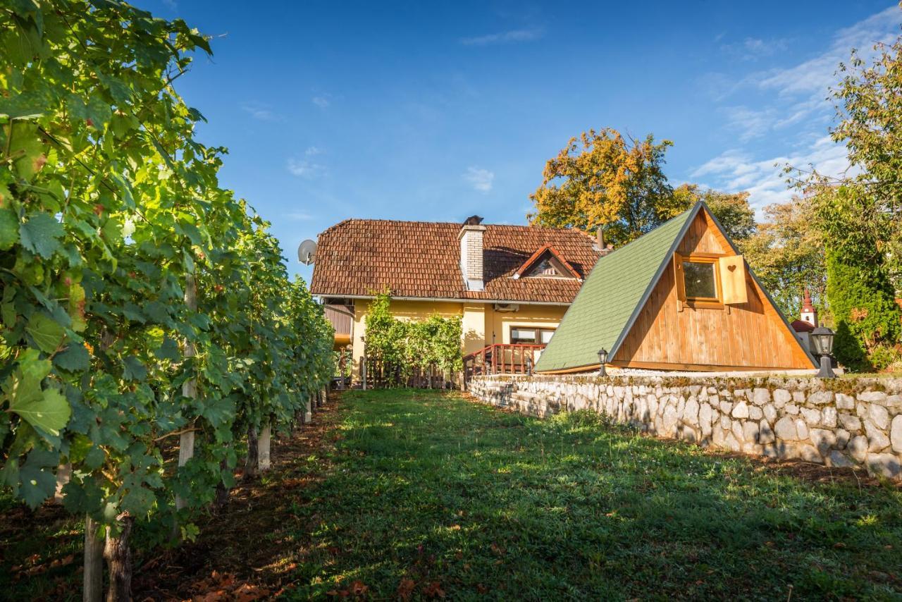 Vineyard Cottage Hocevar Novo Mesto Exterior photo