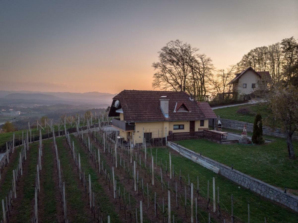Vineyard Cottage Hocevar Novo Mesto Exterior photo